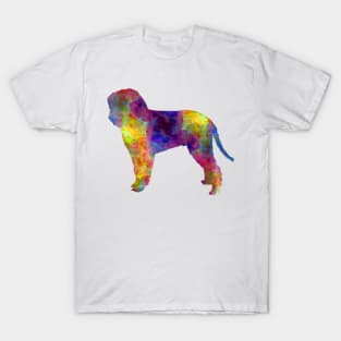 Romagna Water Dog in watercolor T-Shirt